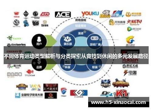 不同体育运动类型解析与分类探索从竞技到休闲的多元发展路径