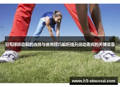 羽毛球运动鞋的选择与使用技巧解析提升运动表现的关键装备